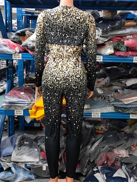 Autumn Fashion Women's Long Sleeve Jumpsuit with Tribal Pattern and Mesh Patch European and American Style for Ladies