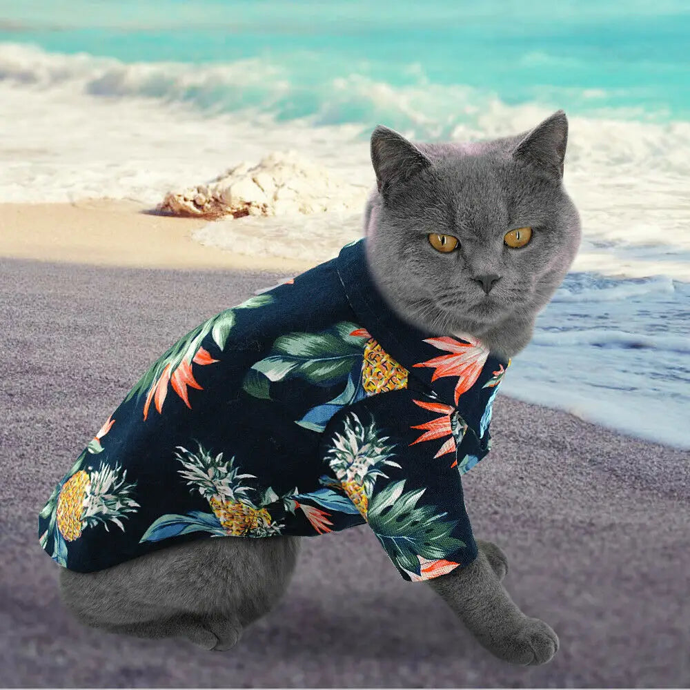 H969764c2e84b4a2794e544799ba5291fp - Cozy Cloth Haven LLC