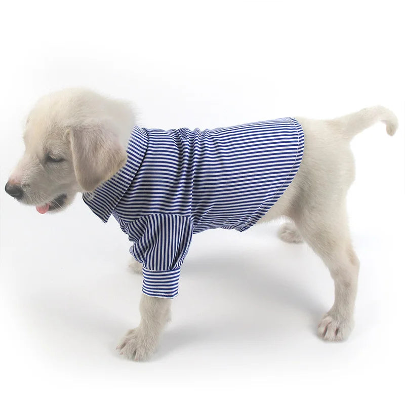 HTB1D5TpoS3PL1JjSZFxq6ABBVXaq - Cozy Cloth Haven LLC