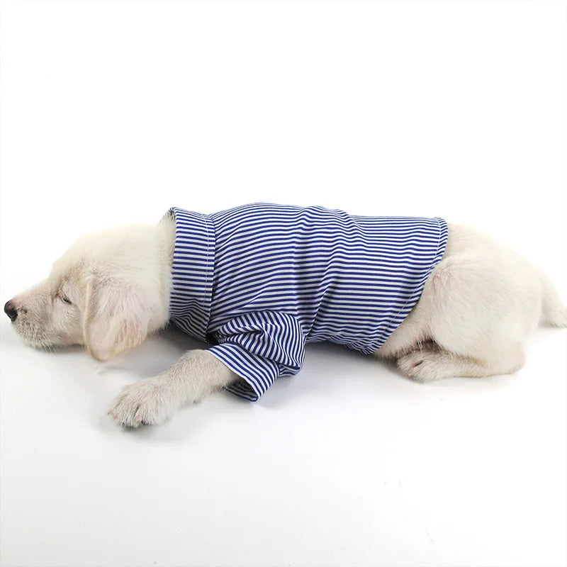 HTB1EQIwjYwTMeJjSszfq6xbtFXaQ - Cozy Cloth Haven LLC