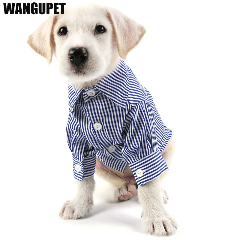 HTB1kijXf6uhSKJjSspdq6A11XXaB - Cozy Cloth Haven LLC