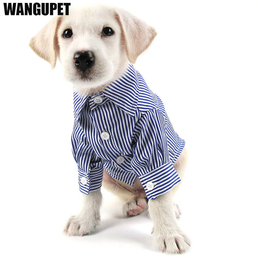 HTB1kijXf6uhSKJjSspdq6A11XXaB - Cozy Cloth Haven LLC