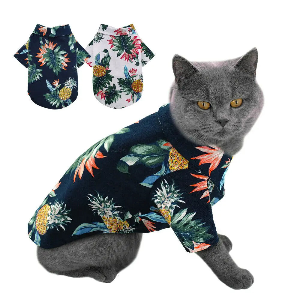 He35159afb400450baa93dd74795831682 - Cozy Cloth Haven LLC