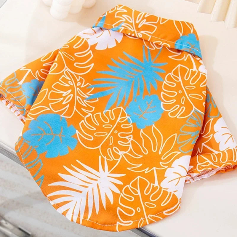 S91435b77bc634b1cbedcdf52dfdc65b6w - Cozy Cloth Haven LLC