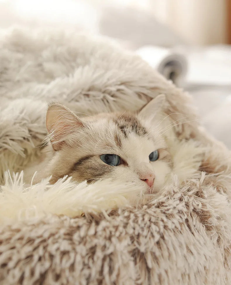 S95793b11854c4fbb90a0faab13d0bf00M - Cozy Cloth Haven LLC