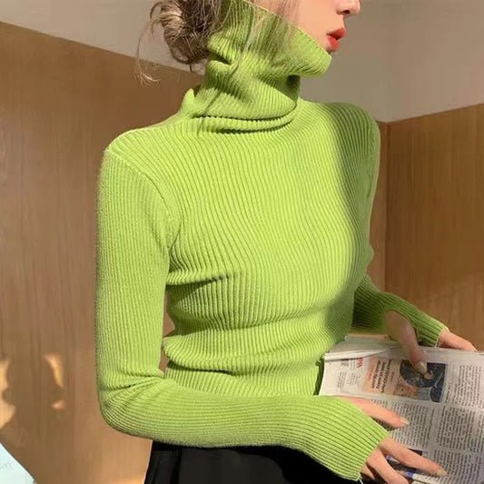 EVNISI Women Solid Casual Sweater Turtleneck Thicken Thermal Sweater Long Sleeve Warm Knit Jumpers For Women Autumn Winter