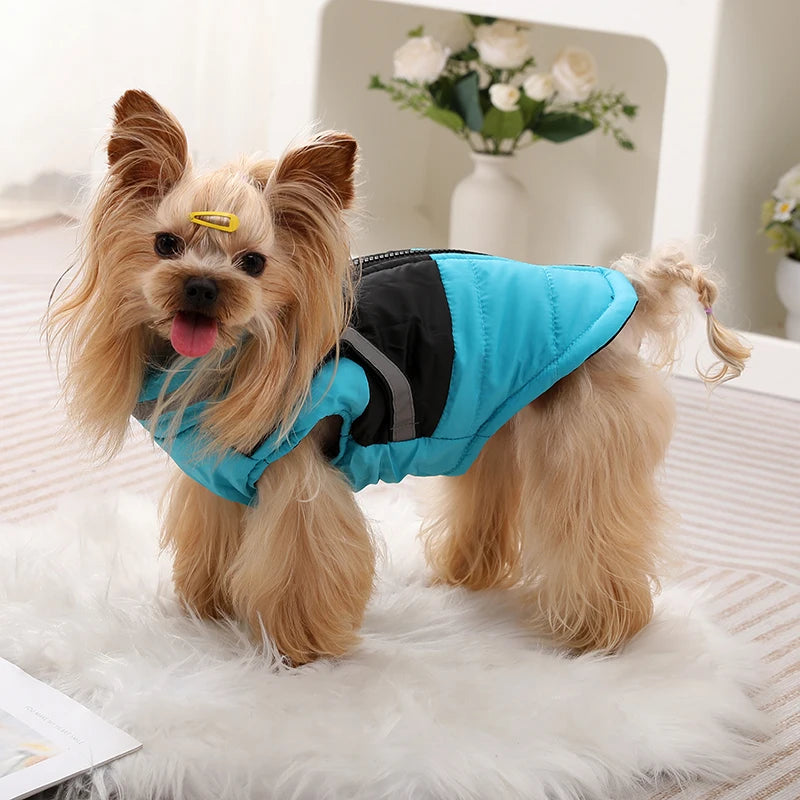 Sbe39080c63df4a249258cd1e6fe42617B - Cozy Cloth Haven LLC