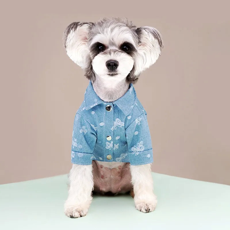 Sc00569485d404a50b5ddc95c96b4998aT - Cozy Cloth Haven LLC