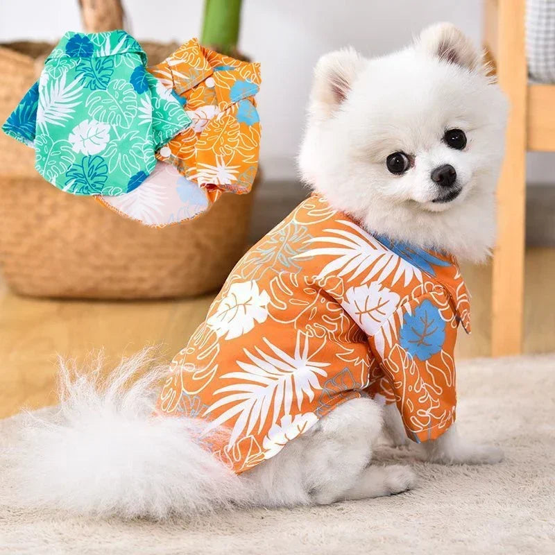 Sc798dc86658f4313b7ee4f8960e3fea27 - Cozy Cloth Haven LLC